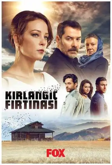 Смотреть онлайн Шторм ласточки (2017) в хорошем качестве