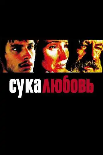 Смотреть онлайн Сука-любовь (2000) в хорошем качестве