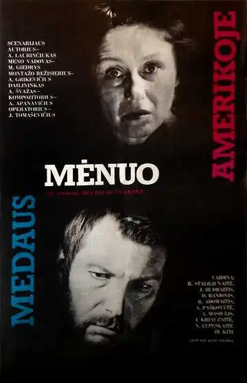 Смотреть онлайн Медовый месяц в Америке (1981) в хорошем качестве