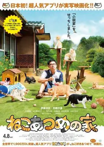 Смотреть онлайн Дом кошек (2017) в хорошем качестве
