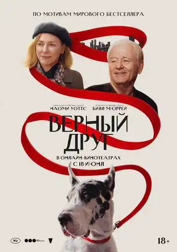 Смотреть онлайн Верный друг (2024) в хорошем качестве