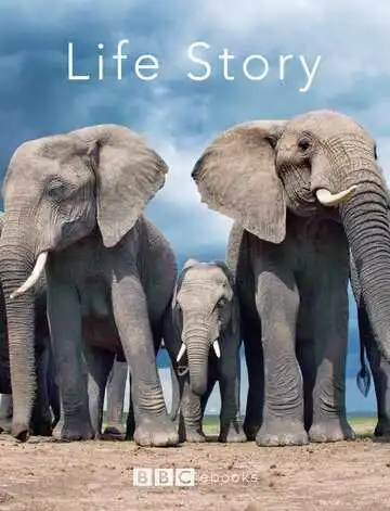 Смотреть онлайн История жизни (2014) в хорошем качестве