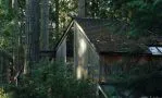 Смотреть онлайн фильм Крипер (2025) кадр № 3