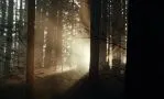 Смотреть онлайн фильм Крипер (2025) кадр № 4