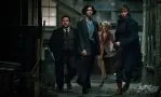 Смотреть онлайн Фантастические твари и где они обитают (2016)