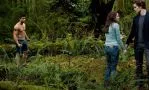 Смотреть онлайн фильм Сумерки 2. Сага. Новолуние (2009)