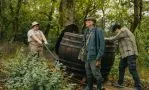Смотреть онлайн сериал Виноделы (2025)