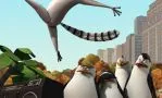 Смотреть онлайн мультсериал Пингвины из Мадагаскара (2008 - 2015)