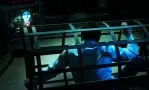 Смотреть онлайн фильм Пила 3D (2010)