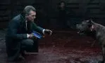 Смотреть онлайн фильм Цепной пёс (2017)